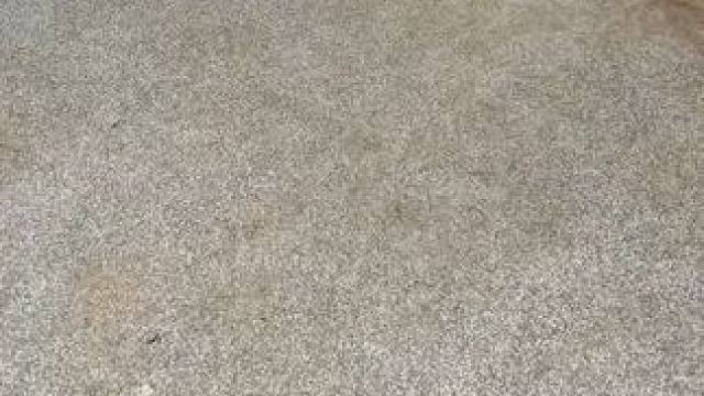 你能相信这个吗！