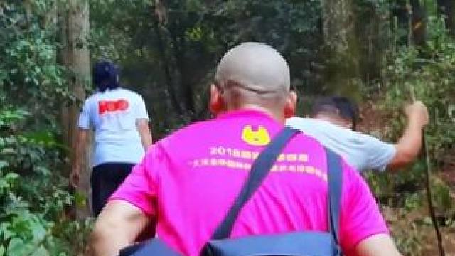 徒步进入原始森林，一天徒步10小时，太有挑战性了