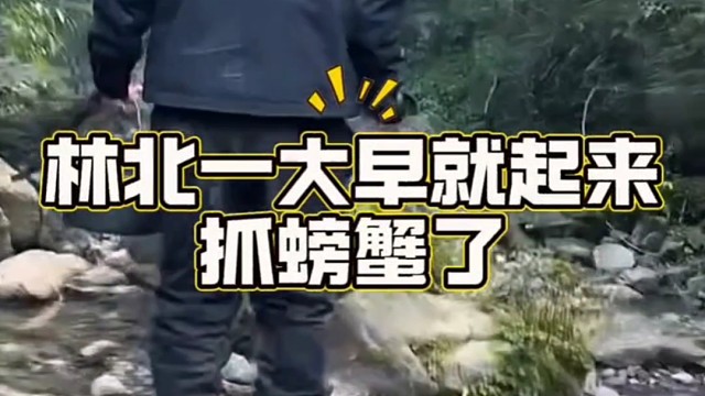 林北一早就起来抓螃蟹啦，估计以后要一直住山顶了# ...