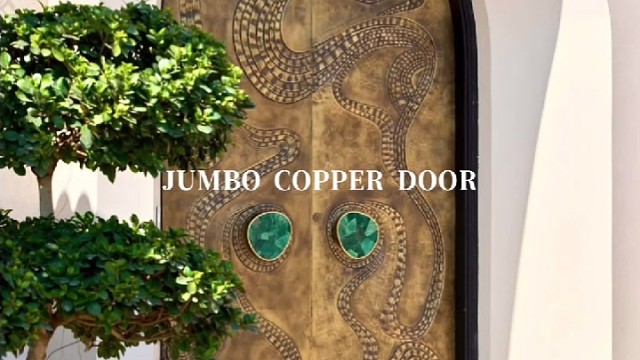 鎏金铜门嵌翠，法式韵里锁着秘境#中宝天一铜门 #别墅门 #铜门 #上海