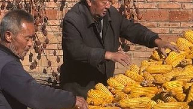 美景不一定要去远方，家门口的风景一样美了眼，醉了心，只要有欢喜心，生活处处好风景.