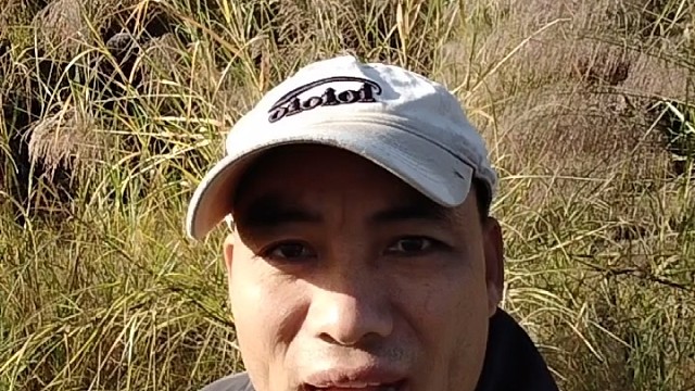 爱喝奶茶的人看过来