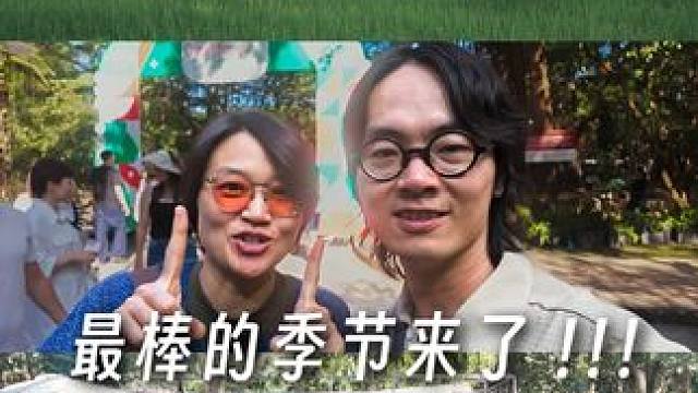 清迈旅居第五个月，舒服到不想离开！ 清迈终于进入了最好的季节。炎热的雨季一走，天气简直舒服到不行。城