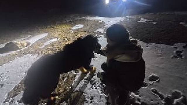 挑战人生的100种不同的体验今天我骑车去到了青海放牛！