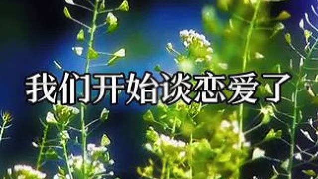 竞帝：结婚！结婚！结婚！