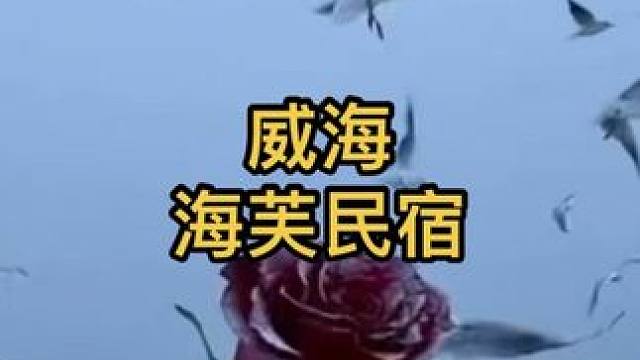 冬季来威海看雪吧！住宿推荐海芙民宿 威海雪景的氛围感拉满了