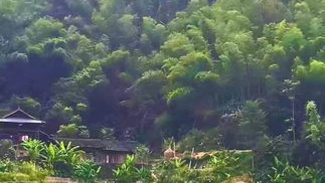 这就是我的家乡，山沟沟里，喝的是山泉水，走的是泥巴路，我知道这种风景很少有人看，但我还是想分享给喜欢