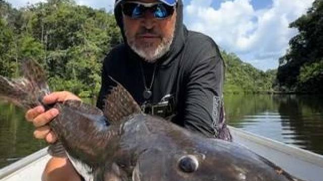 用蚯蚓钓大鲶鱼