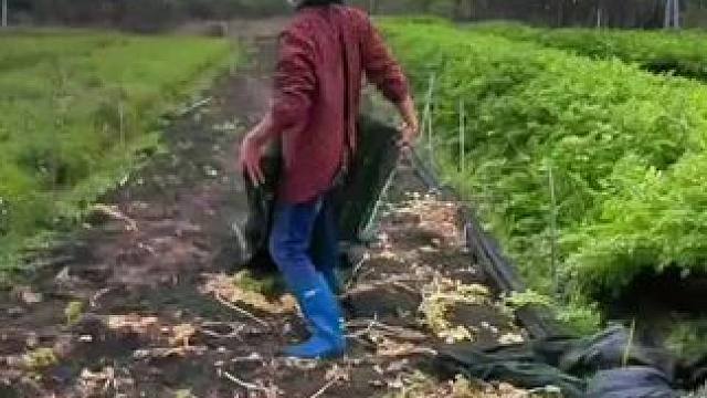 山卡卡里的农村大姐一部手机直播30天变现2000新人首播一个小工具直接拿去用轻松开播新