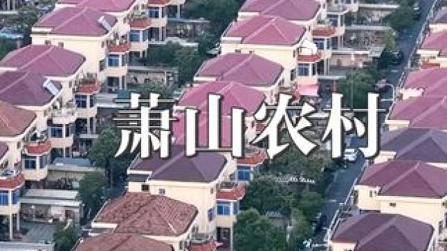 中国农村看浙江，浙江农村看杭州。这里是浙江最牛的农村，也是赘婿之都杭州萧山，家家住别墅，户户开豪车，