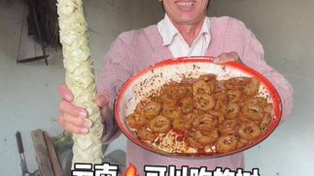 云南可以吃的树 你们吃过吗？