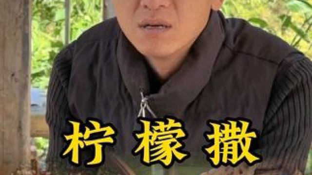 柠檬撒我的乡村生活