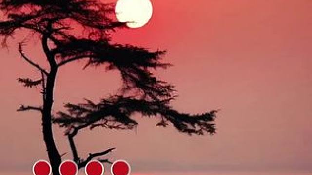 生于人间,何罪之有,一句先苦后甜，撑了一年又一年。生活是现实的,望梅不能止渴,画饼不能充饥。时光总是