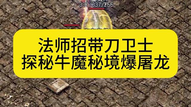 法师招带刀卫士，勇闯牛魔秘境爆屠龙