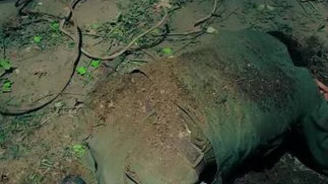 看完整版 大结局太精彩了 《西瓜视频》，观看精彩后续《西瓜视频》，观看精彩后续《西瓜