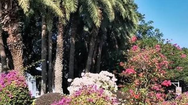 厦门冬天风景美丽！