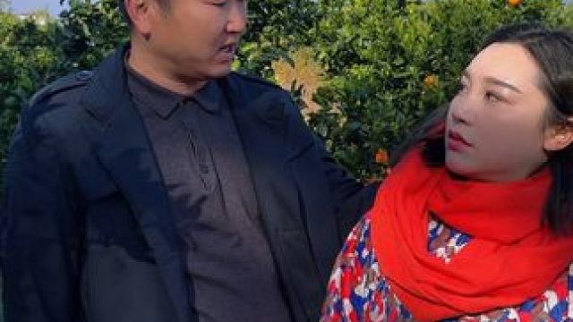 橙子不用偷 今天九块九到手五斤