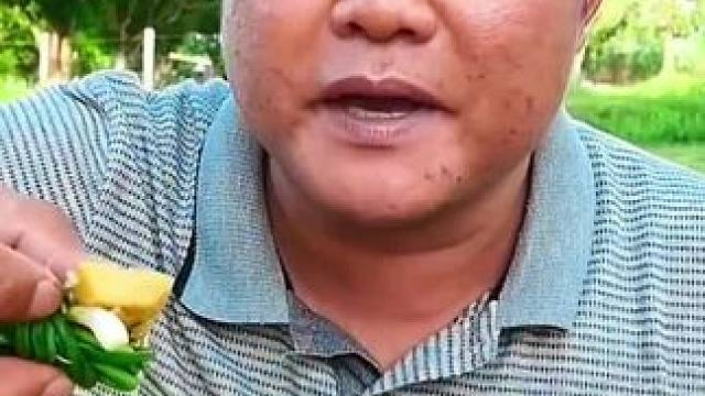 小香葱鲜辣凉拌️酸笋田螺肉 泰国美食