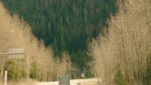 用宏大的世界稀释痛苦，用微小的事情感知幸福。