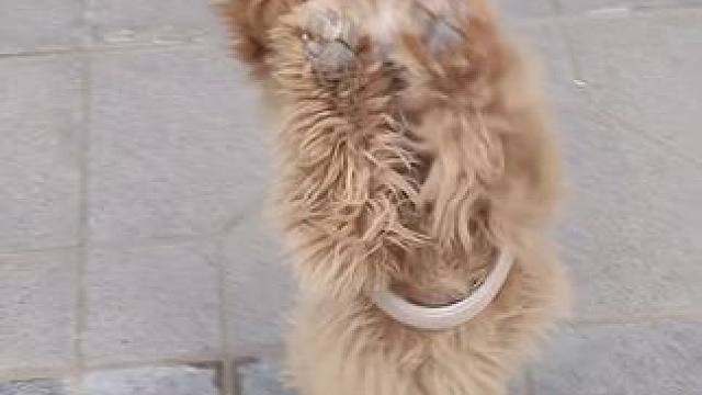 我发布了一个新视频，快来围观吧！