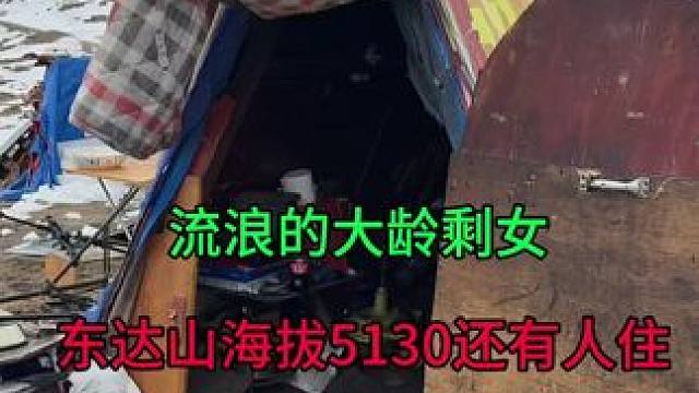 大龄剩女，无家可归，跑东达山海拔5130地方挑战，怎么生活的。