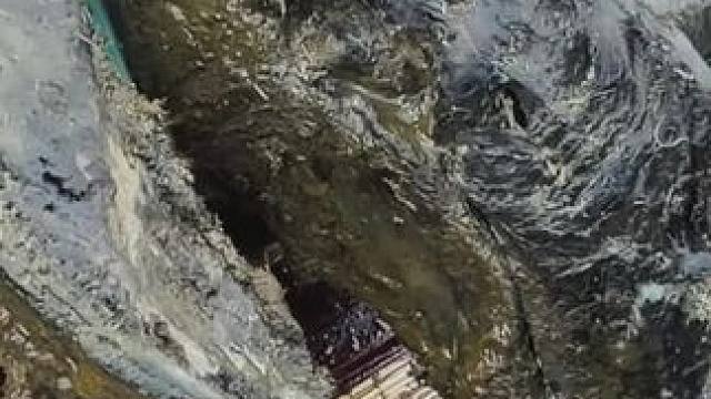 一只巨大的变形牛蹄，里面居然藏着墨汁修牛蹄