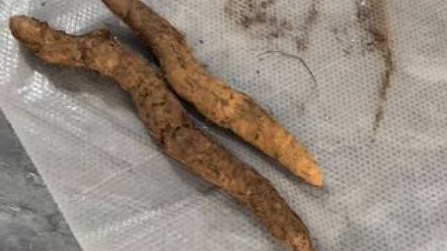 我家的野生山药受到客户的喜爱，谢谢我的客户，祝福你们！