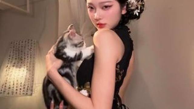 小姐的那只爱猫