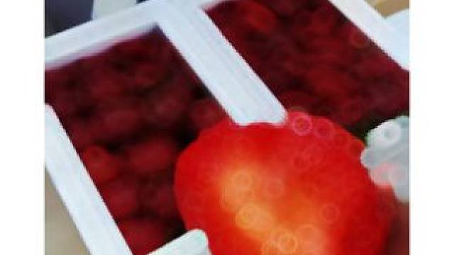 谁懂！被爱真的好幸福！男朋友偷偷买的冬天的第一盒草莓！一口下去香甜爆汁，好吃又浪漫、