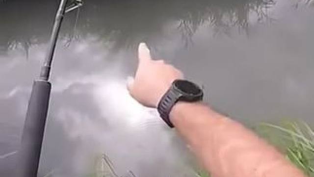 路亚野钓野生大鲢鱼