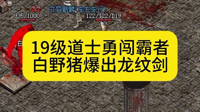 19级道士勇闯霸者大厅，白野猪爆出龙纹剑