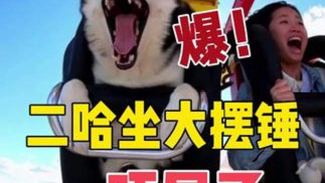 带二哈坐大摆锤，傻狗全程鬼哭狼嚎惨叫连连，魂儿都吓没了