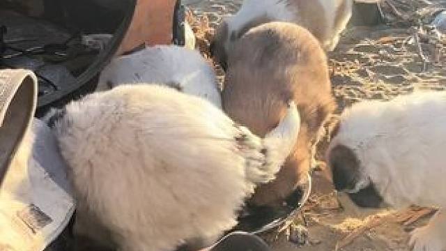 大力出奇迹今天到了服务区