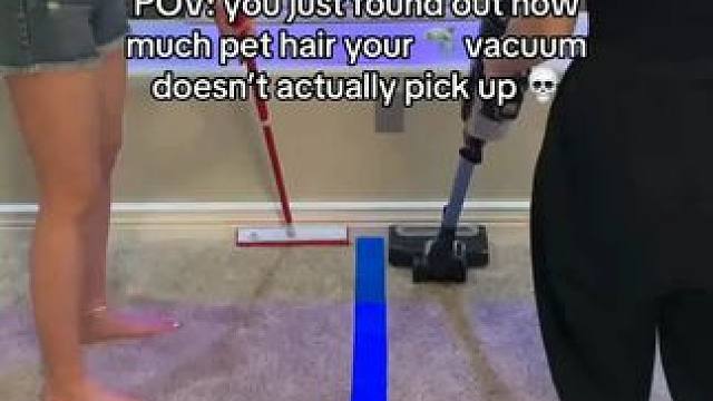 这款宠物脱毛扫帚永远改变了我的清洁习惯...