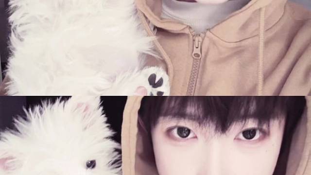 生活不会一帆风顺 他会转弯然后幸福