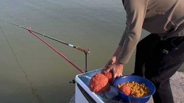 就看今天能不能钓到大鱼了？