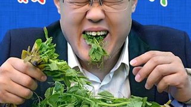 四川的豌豆尖到底是什么菜？