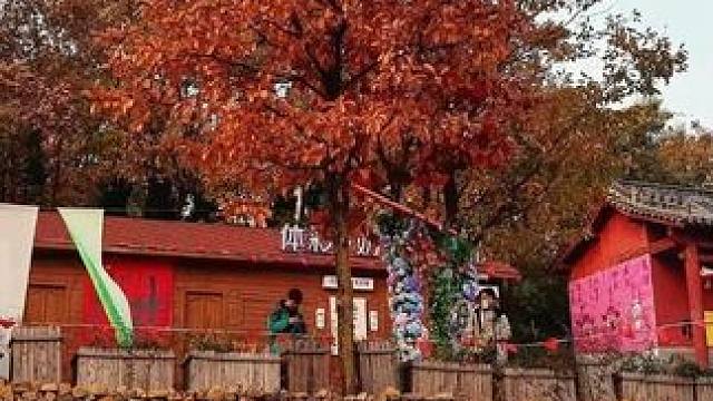 Welcome to 汝州！九峰山欢迎你！