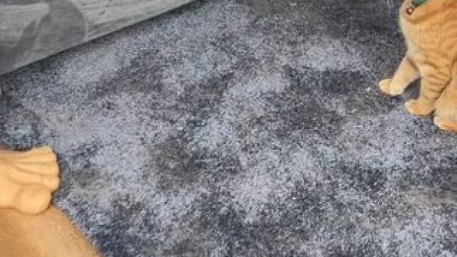 我不敢相信我没有早点知道这一点！