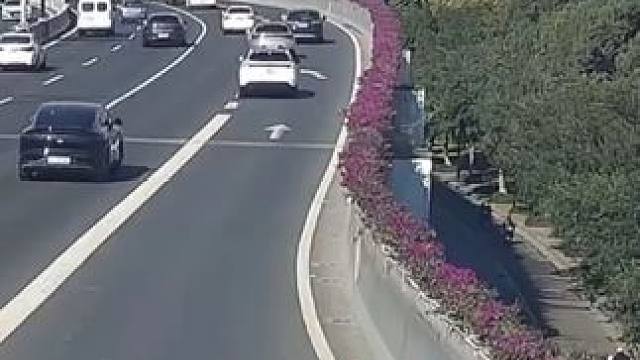 老人驾电动轮椅误入高架，交警迅速响应，一路暖心守护送其安全返家。‍️