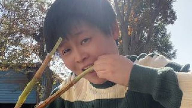 还是小时候的味道！内容过于真实