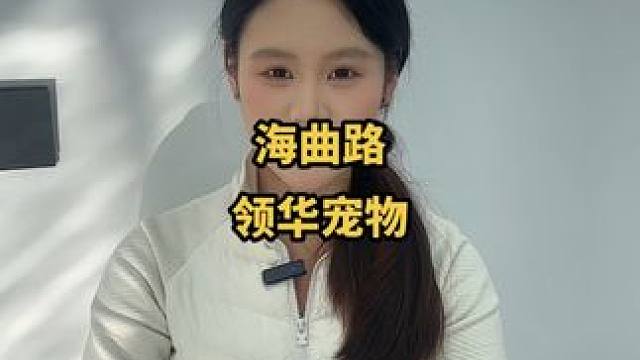 领华宠物12月1日开业，开业期间活动多多，快点领上毛孩子来体验啦！