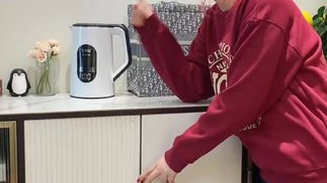 企鹅粘毛器 神奇的粘毛器!不仅能轻松清理头发和猫猫狗狗掉落的毛发，水一冲就干净能继续用了