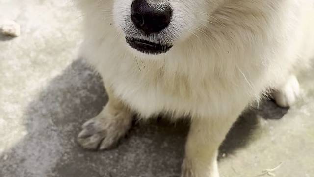 想咬我的第一天