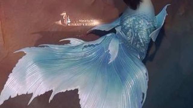 生而为鱼‍️水下传奇