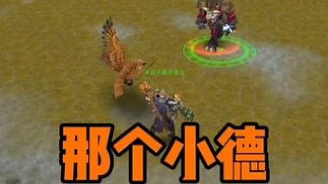 野外PVP解说 那个小德深藏不露 空中加血 我很害怕 魔兽