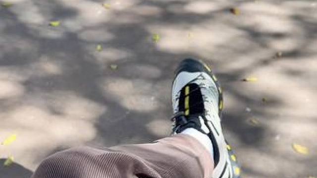 第一批回家过年的人已经到村