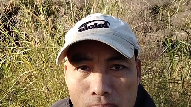 家长们的心声：恳请关闭网络游戏，让孩子健康成长