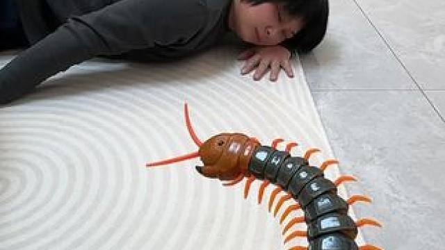 我发布了一个新视频，快来围观吧！