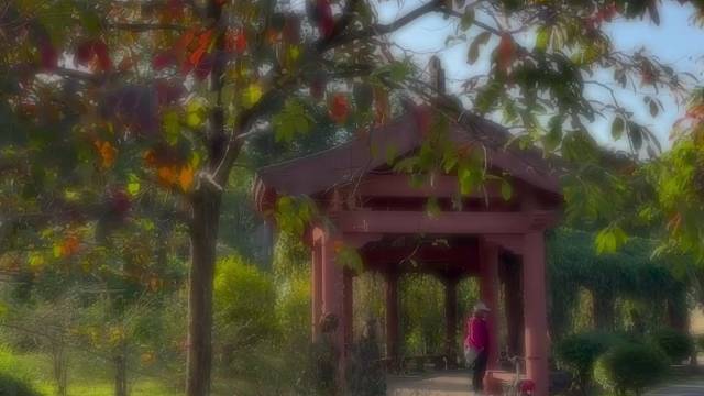 #风景如画 好好生活 永远期待我们的下一次相遇